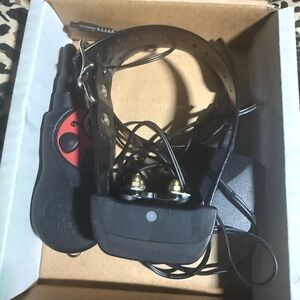 Black and Red E Collar small dog